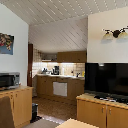 公寓 Haus Aichmann 斯拉德明