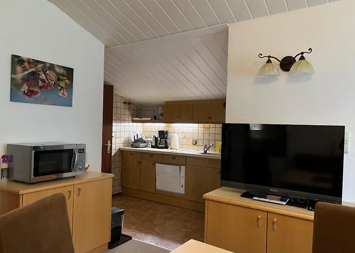 公寓 Haus Aichmann 斯拉德明