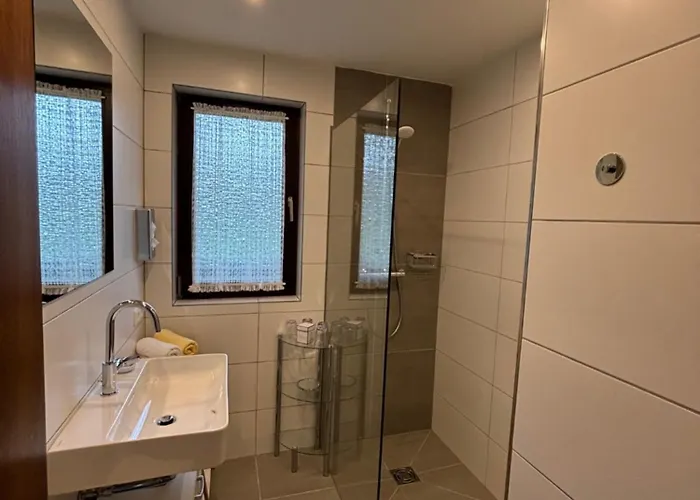 Haus Aichmann * 斯拉德明